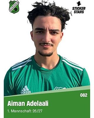 Aiman Abdelaali