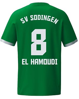 Aiman El Hamoudi Hlimi