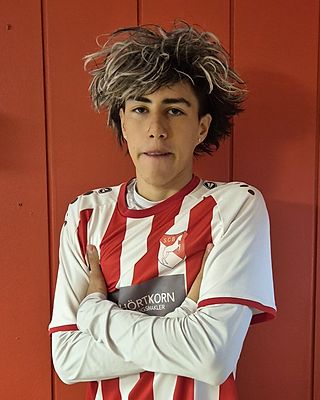 Ramon Andres Andrade Soto