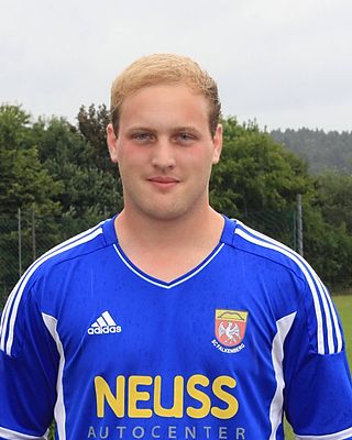 Stefan Mehlsteibl