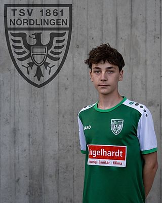 Luis Geiger