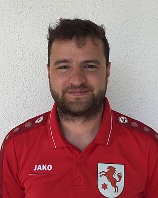 Manuel Strehl