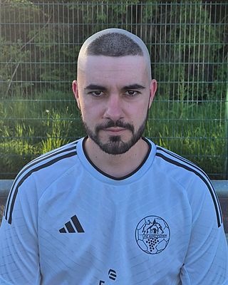 Tiago Carvalheiro Alves