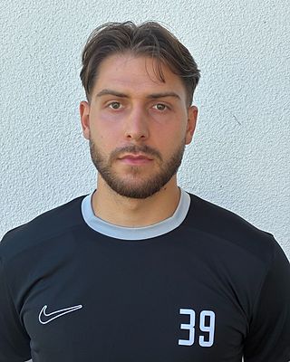 David Mitrovic