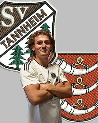 Niklas Villinger