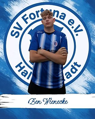 Ben Maximilian Wienecke