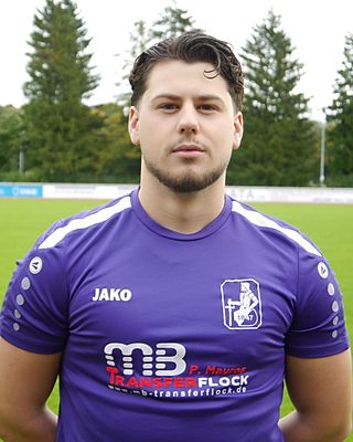 Aldin Babic