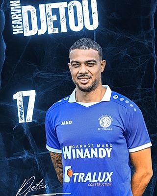 Hearvin Djetou