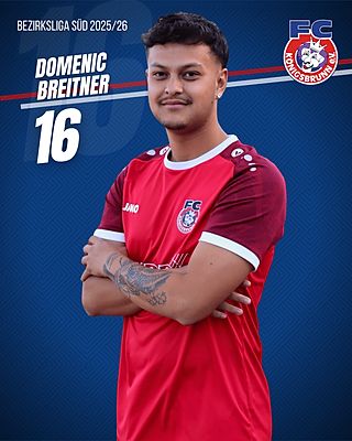 Domenic Breitner