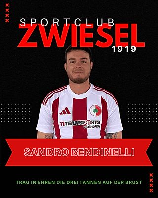 Alessandro Bendinelli