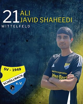 Hasnain Ali Javid Shaheedi