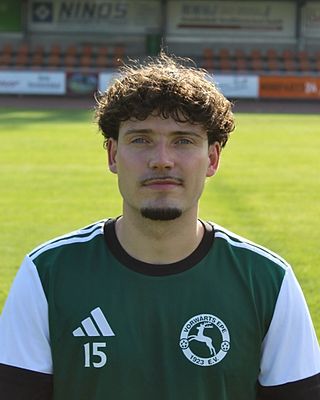 Louis Berges