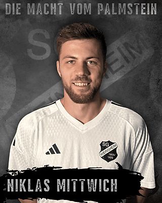 Niklas Mittwich