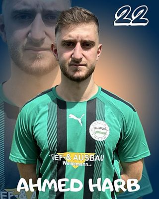 Ahmed Harb