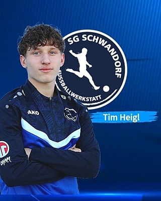 Tim Heigl