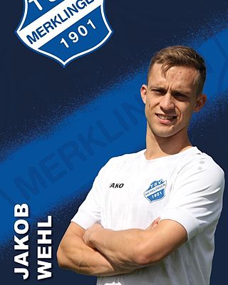 Jakob Wehl