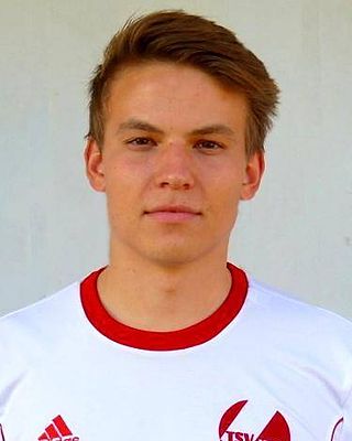 Niklas Sattler