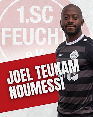 Joel Teukam Noumessi