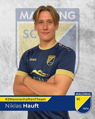 Niklas Hauft