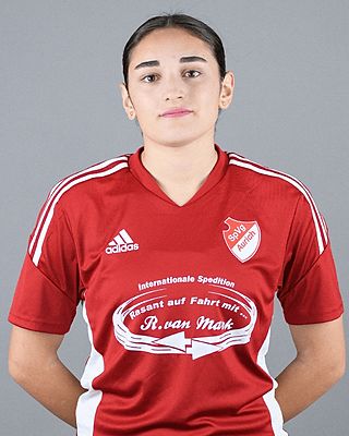 Darin Adi
