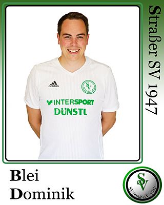 Dominik Blei