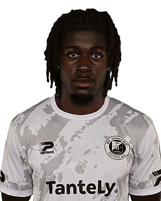 Henri Malik Euwi