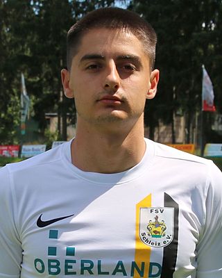 Milan Mitrovic