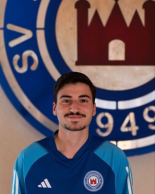 Gonçalo Vieira Alves