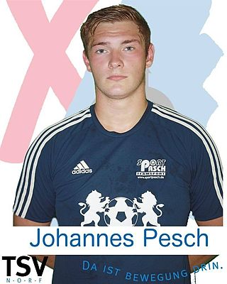 Johannes Pesch