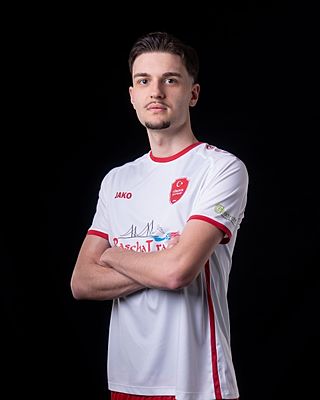 Elmedin Sovtić