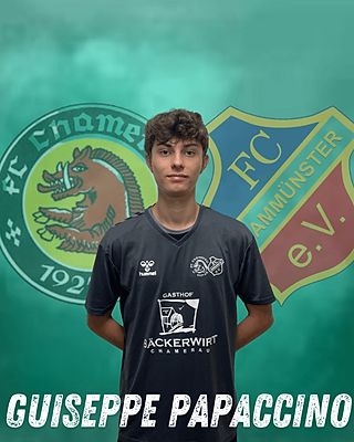 Giuseppe Papaccino