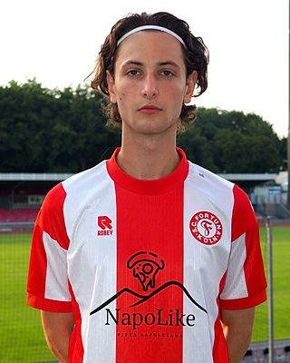 Nikolay Dimitrov Nestorov