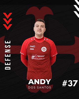 Andy DOS SANTOS