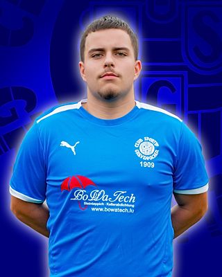 Leandro Almeida Martins