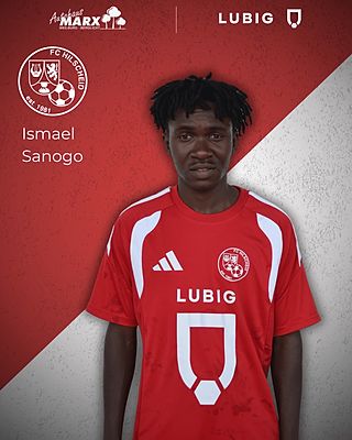 Ismael Sanogo