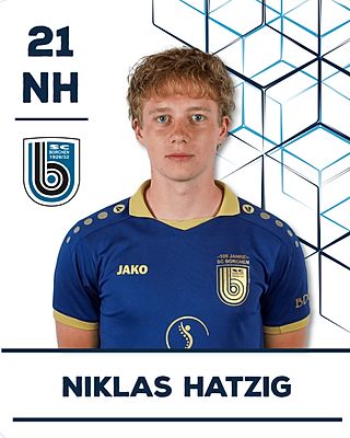 Niklas Hatzig