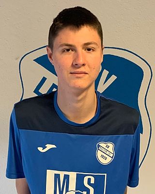 Dimitri Martin