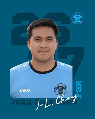 Juan-Luis Choy Languasco
