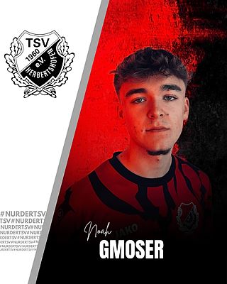 Noah Gmoser