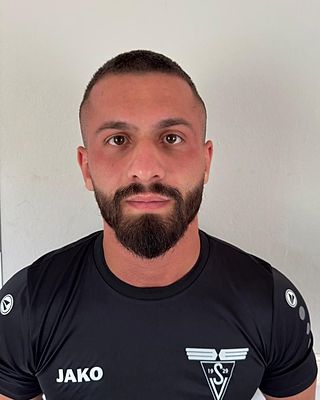 Raul Scarvaglieri