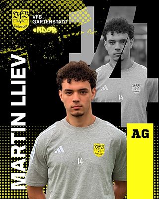 Martin Georgiev Iliev