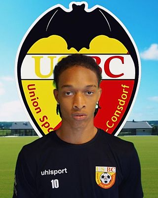 Ginelson Furtado Semedo