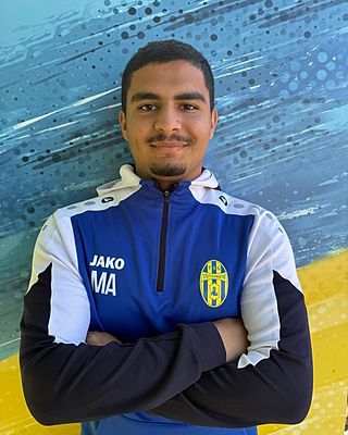 Mahmoud Alsheikh