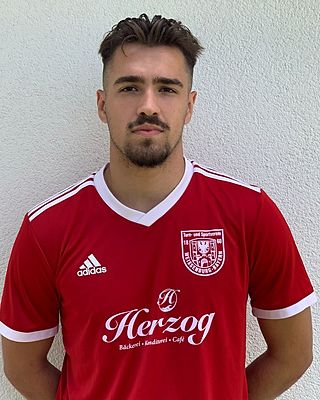 Ajdin Zulic