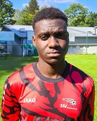 Bahaeddin Aamer Mohamed Ali