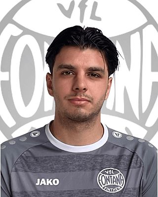 Alen Beganovic