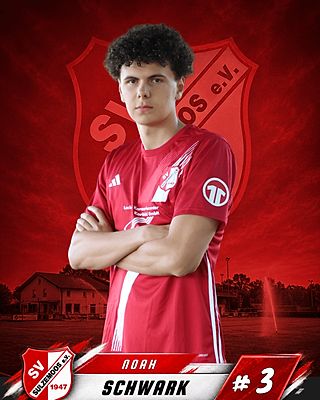 Noah Schwark