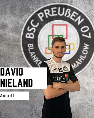 David Nieland