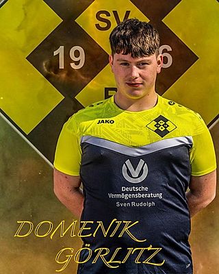 Domenik Görlitz