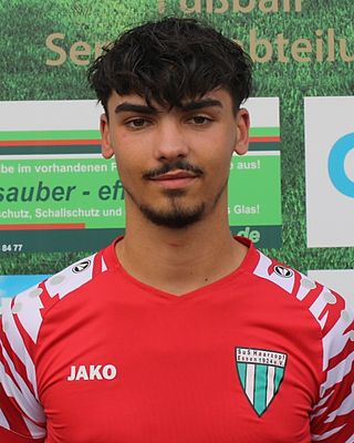 Leon Zamljen